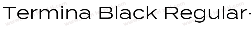 Termina Black Regular字体转换
